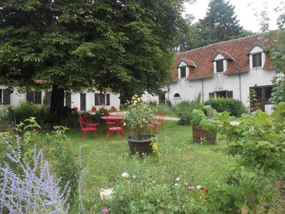 B&B La Ferme Des Bordes Pontlevoy Exterior foto