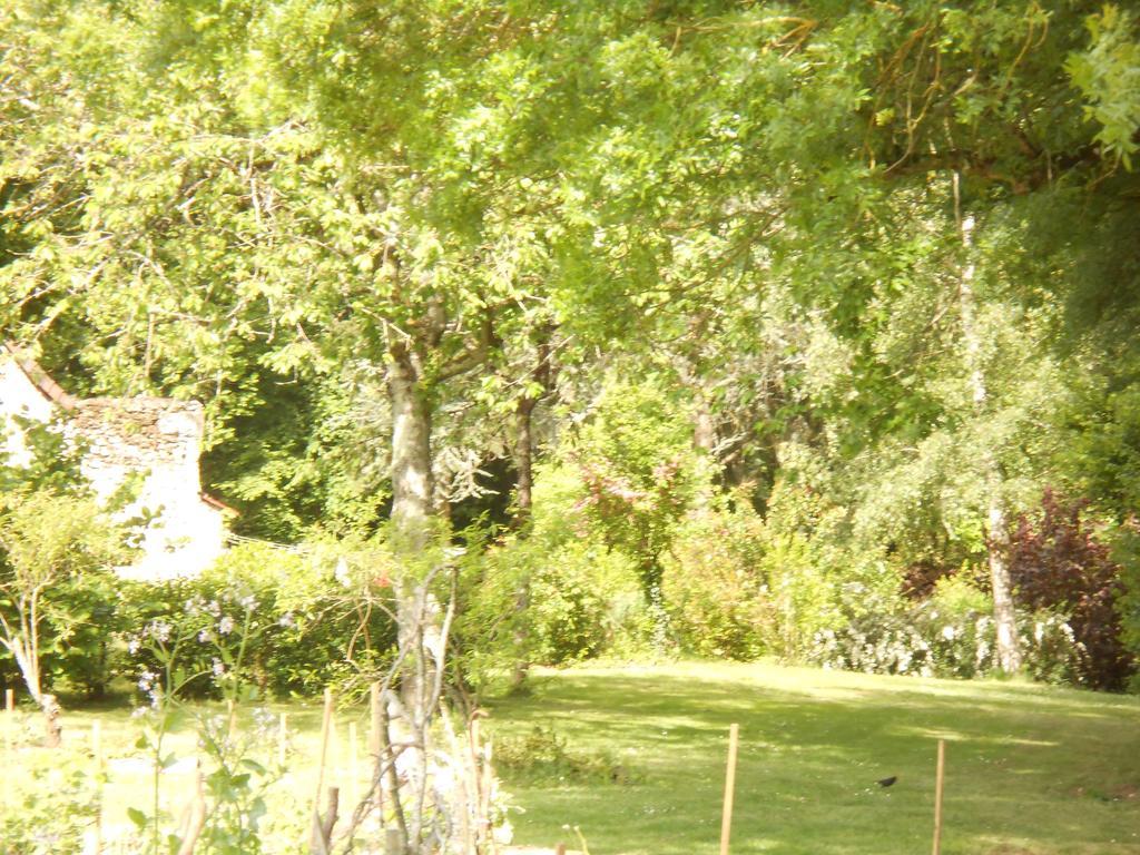 B&B La Ferme Des Bordes Pontlevoy Exterior foto